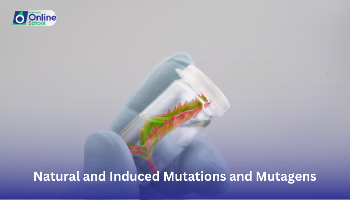Lesson 23: Differentiation Between Natural and Induced Mutations and Mutagens